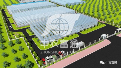 全力打造精品工程 2021年重点建设项目盘点